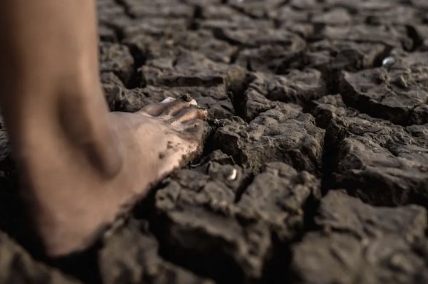 Un brot entre l’asfalt