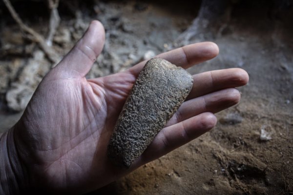 Terra de carlines i amulets