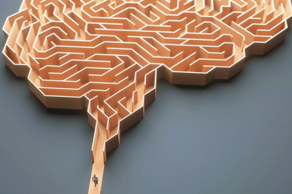 “Voler ser perfecte et farà patir”