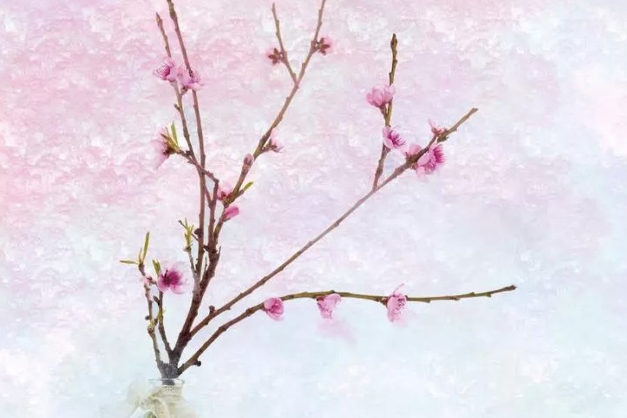 “L’ikebana és endur-se la natura a casa”