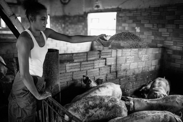 Grangera i model per a firmes de roba, la vida de la Woday no té aturador. (Fotografies de Jordi Borràs Abelló)